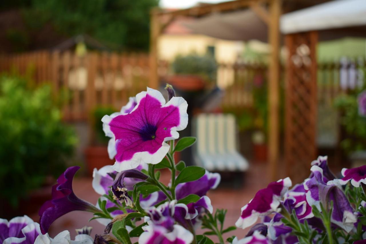 Domus Socolatae Apartments&Suites Follonica Εξωτερικό φωτογραφία